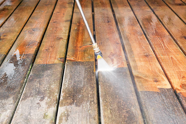 Best Sidewalk and Walkway Cleaning  in Lake Tansi, TN